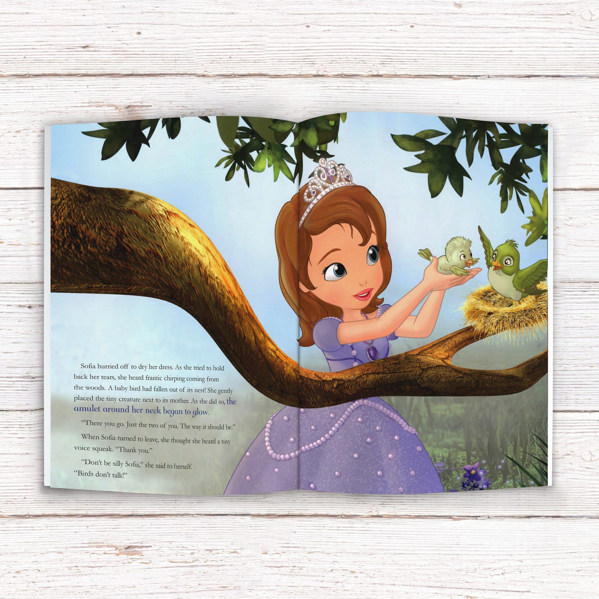 Disney Little Favourites Sofia The First - Signature Gifts